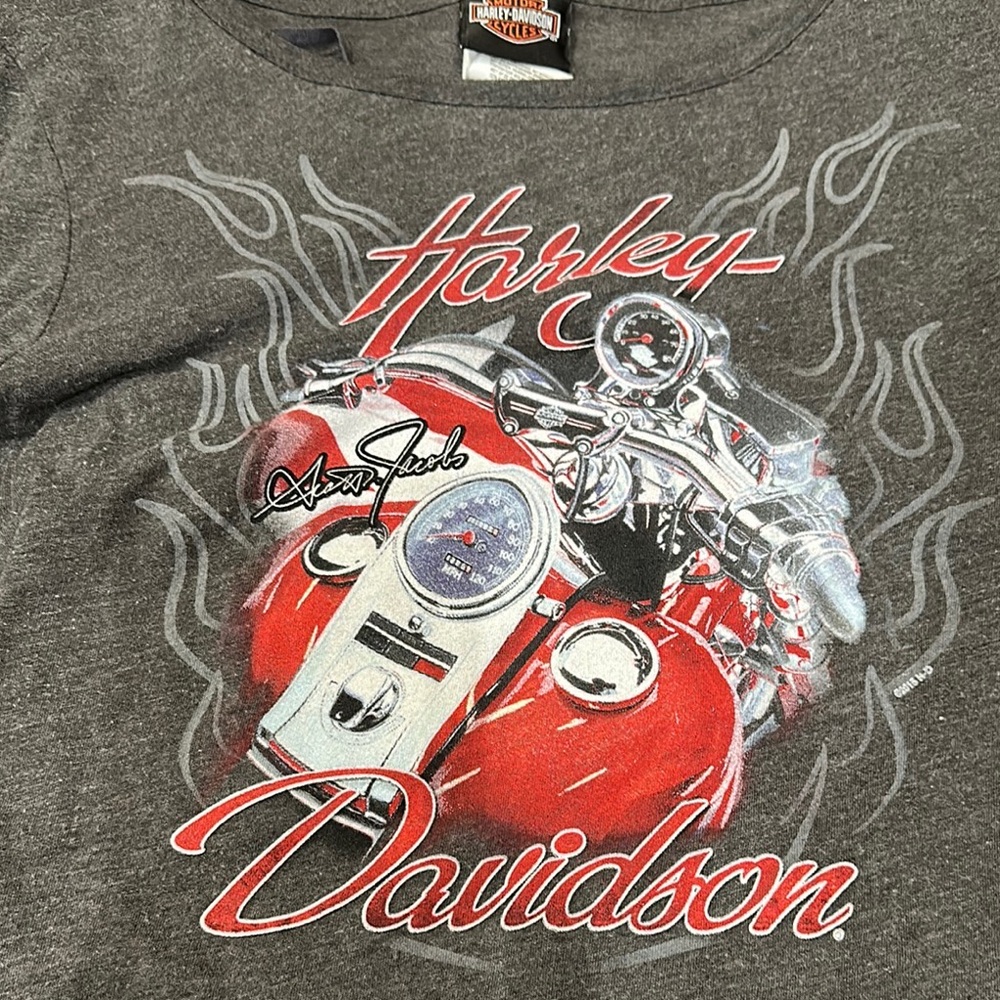 Harley-Davidson Gray Graphic Tee